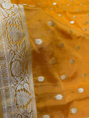 Beautifull Pure Khaddi Viscose georgette
